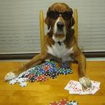Dogchip